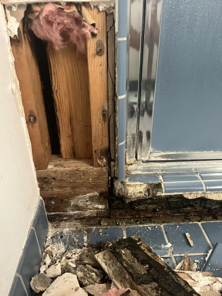 Professional garden landscaping near you across Davis, CA - Luke Miller Handyman Services