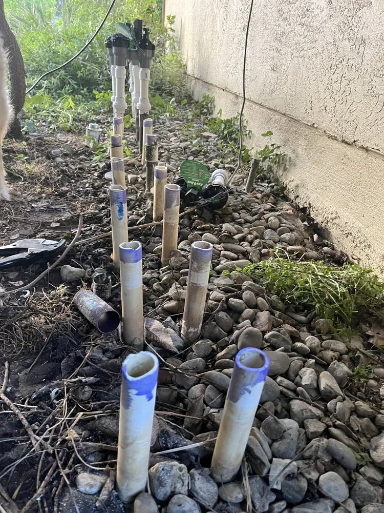 Top-rated garden landscaping for homes across Davis, CA - Luke Miller Handyman Services