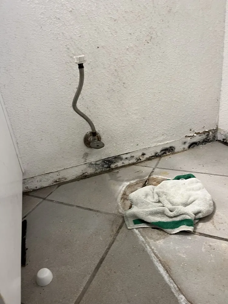 Custom residential landscaping experts serving Davis, CA - Luke Miller Handyman Services