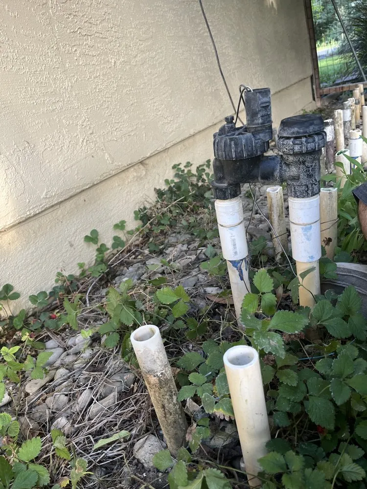 Custom yard cleanup service in Davis, CA - Luke Miller Handyman Services