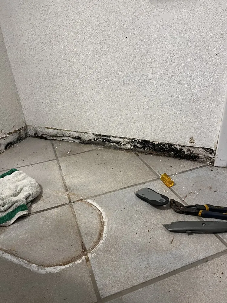 Trusted yard maintenance in Davis, CA by Luke Miller Handyman Services