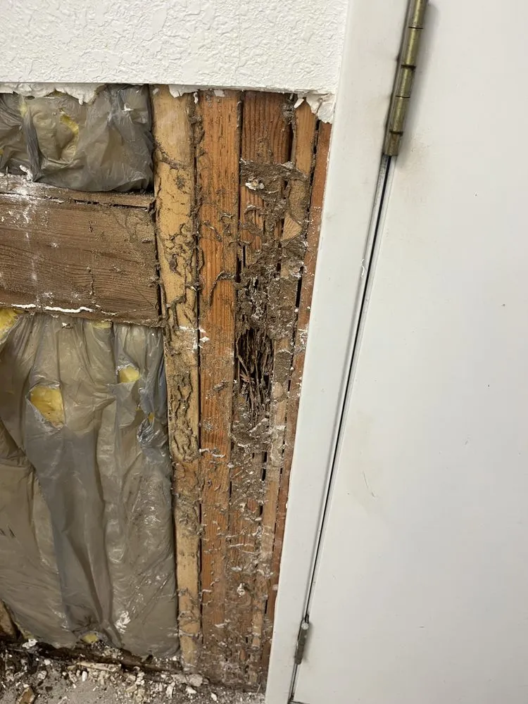 Local landscape design experts serving Davis, CA - Luke Miller Handyman Services