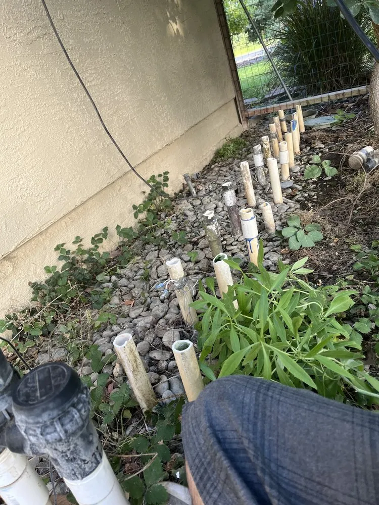 Trusted landscaping services experts serving Davis, CA - Luke Miller Handyman Services