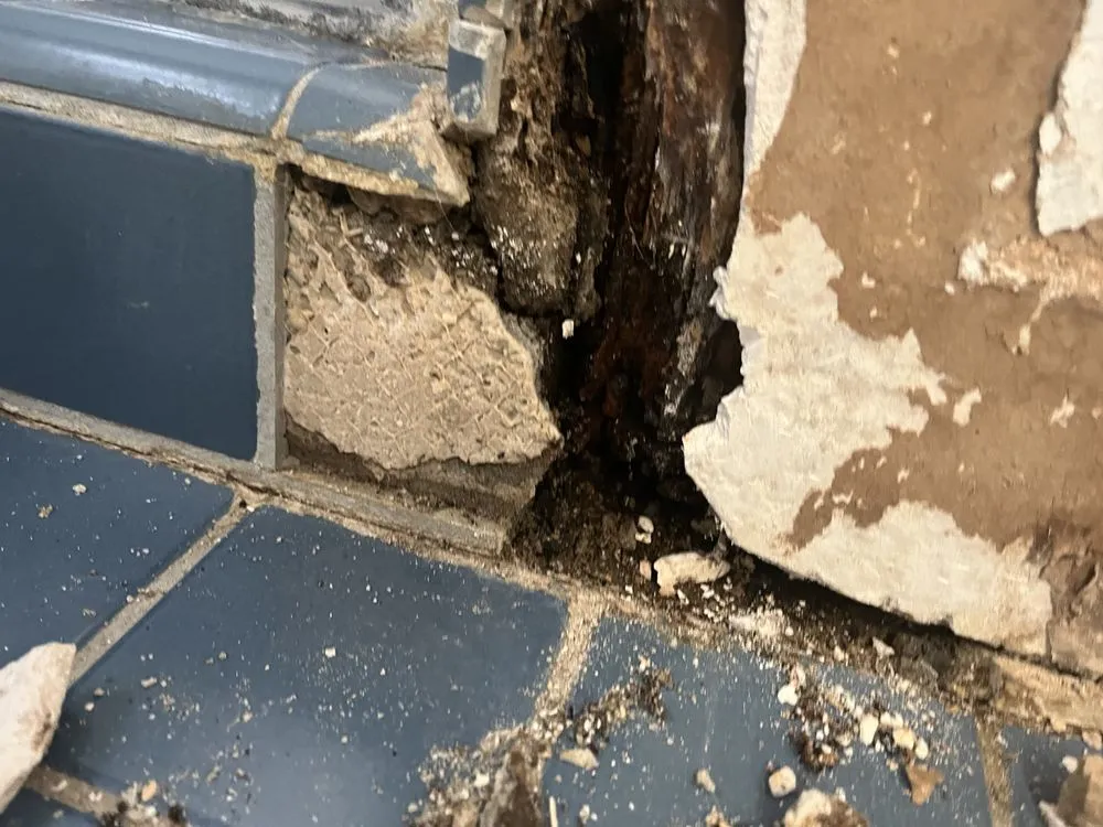 Custom yard maintenance experts serving Davis, CA - Luke Miller Handyman Services