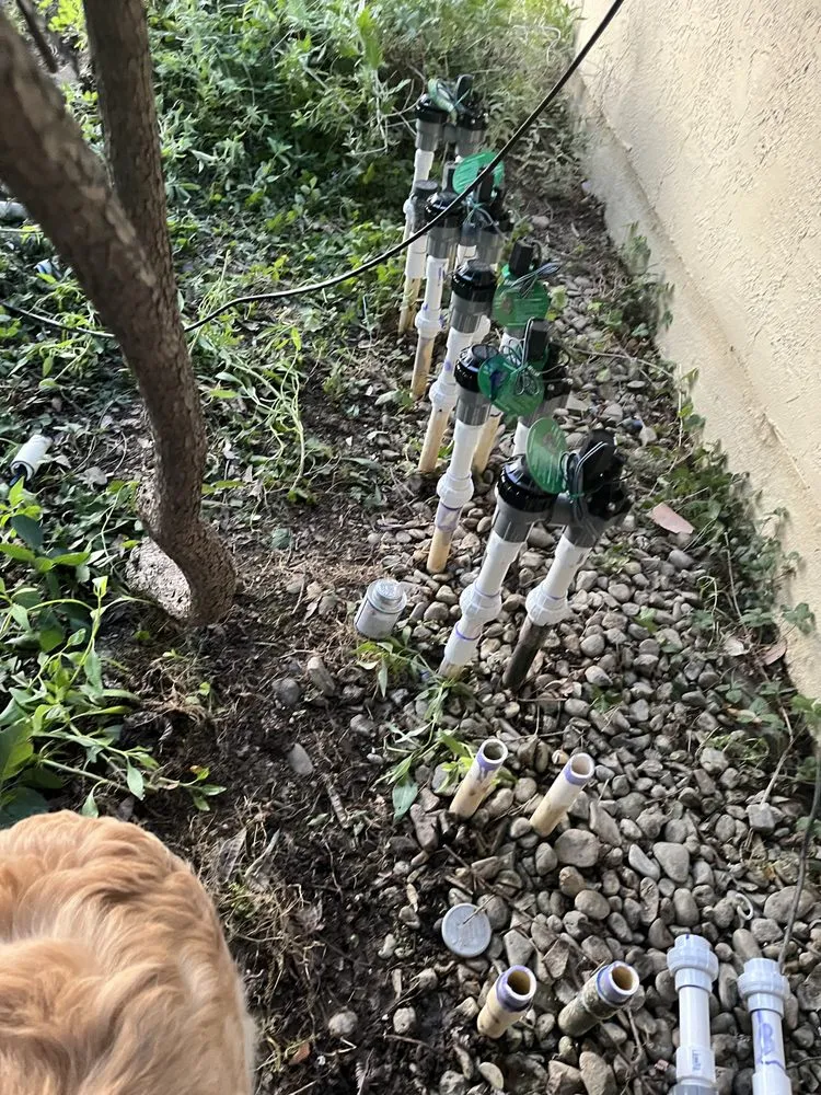 Affordable landscape design for residential properties in Davis, CA by Luke Miller Handyman Services