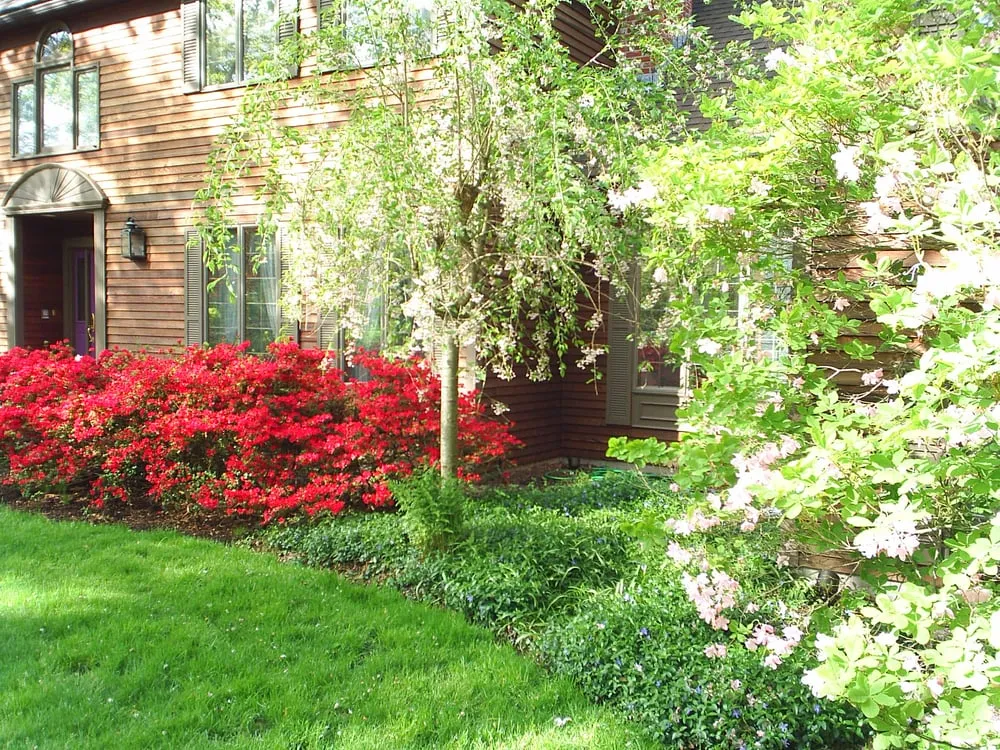 Affordable landscape design in Andover, MA - Luken Landscaping