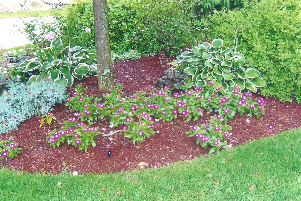 Reliable lawn care service in Andover, MA - Luken Landscaping