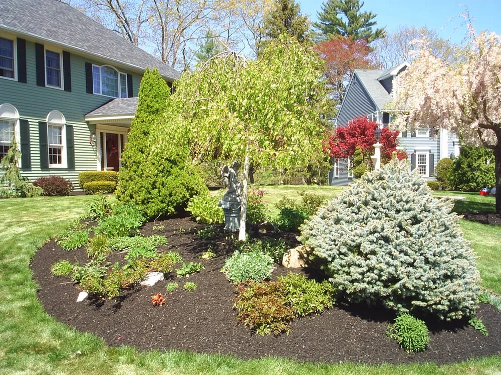 Professional yard maintenance near you across Andover, MA - Luken Landscaping