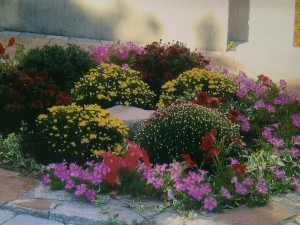 Trusted outdoor landscaping for beautiful yards in Andover, MA by Luken Landscaping