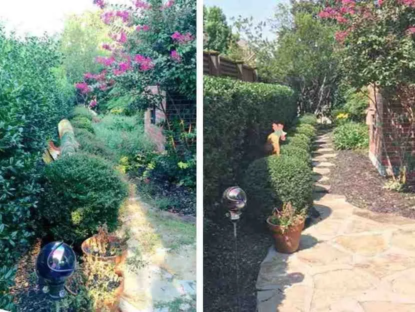 Trusted lawn care service for beautiful yards in McKinney, TX by Luke's Landscape & Maintenance