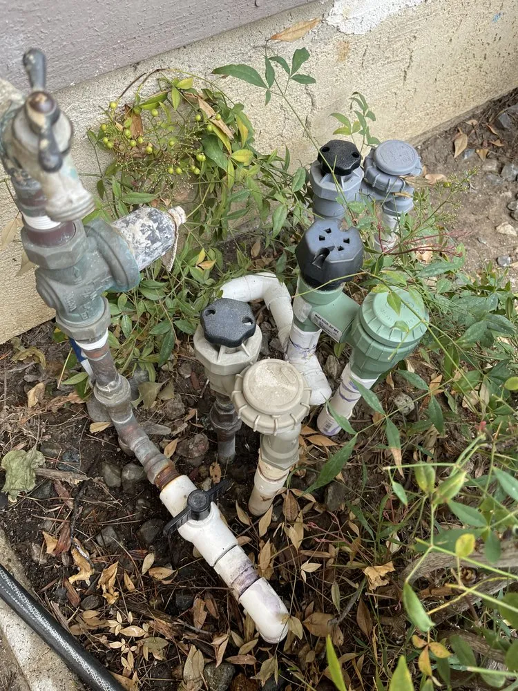 Top-rated yard cleanup service in Riverside, CA - Luke's Landscaping