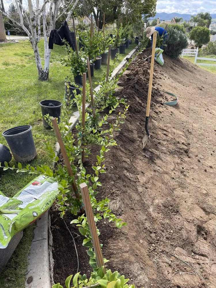 Top-rated garden landscaping experts serving Riverside, CA - Luke's Landscaping