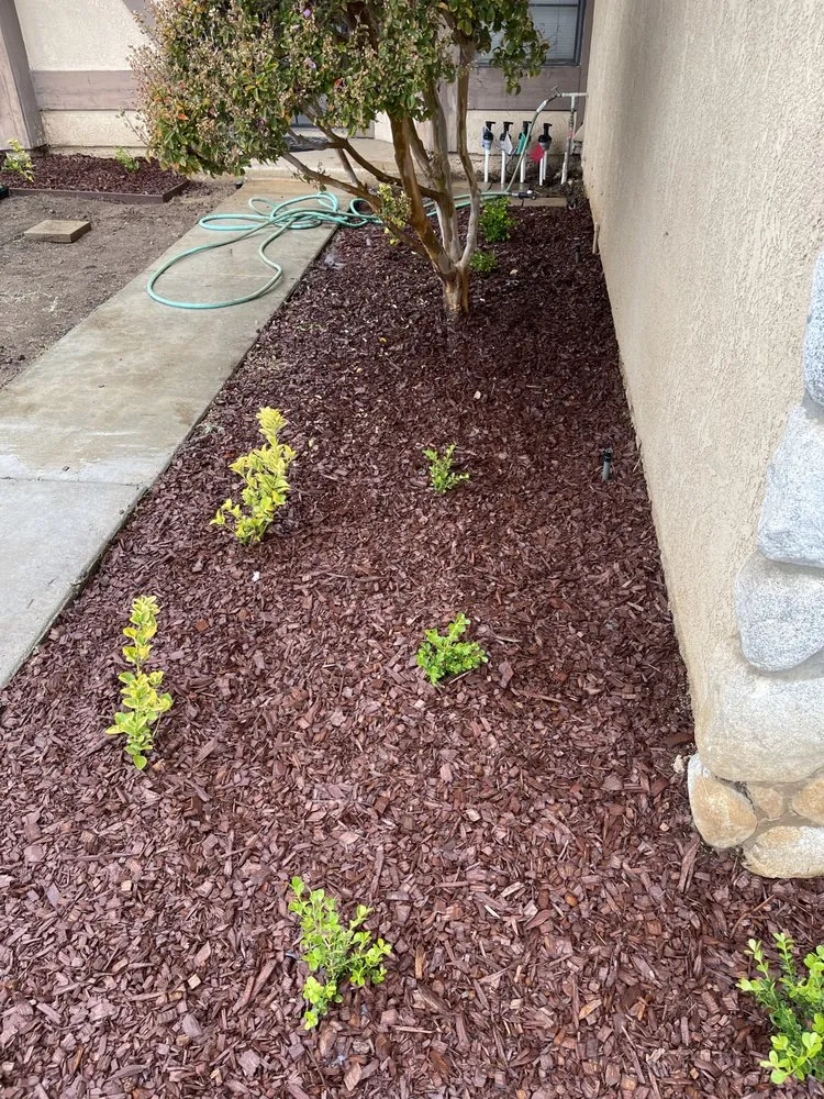 Trusted landscape design in Riverside, CA by Luke's Landscaping