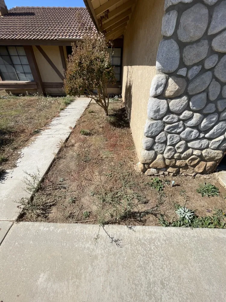 Affordable residential landscaping experts serving Riverside, CA - Luke's Landscaping