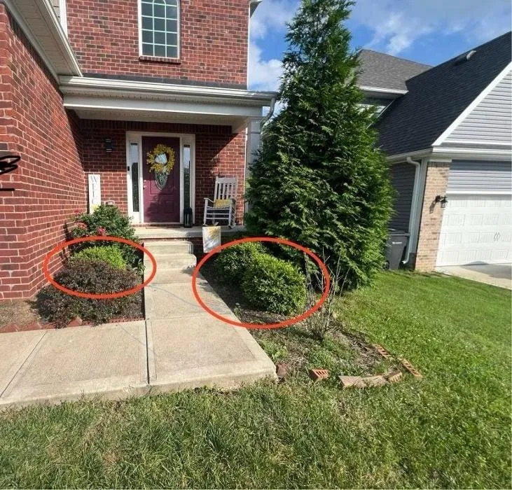 Reliable lawn care service with custom design across Lexington, KY - Luke's Landscaping Unlimited