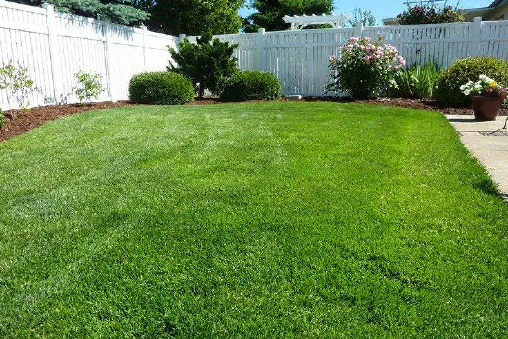 Affordable yard cleanup service in Edgemoor, SC - Lukes Lawn Care
