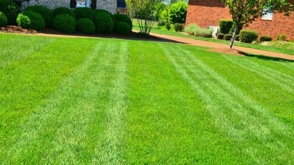Lukes Lawn Care Logo