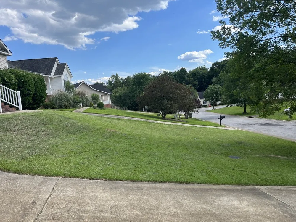 Top-rated yard cleanup service with custom design across Irmo, SC - Luke’s Lawn Service