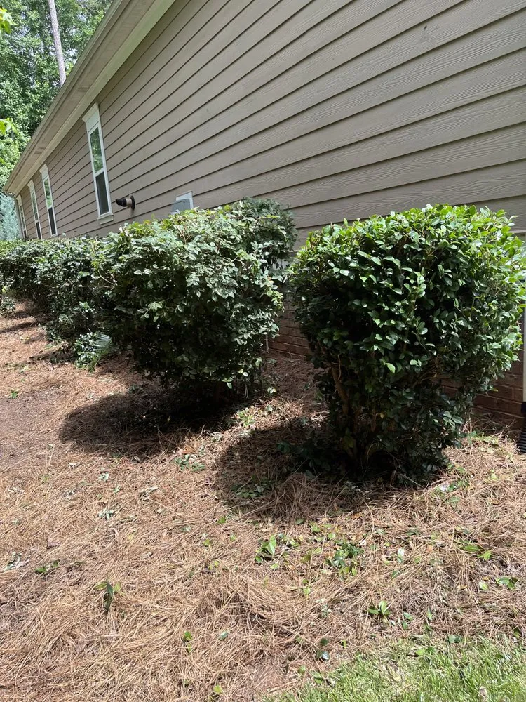 Local residential landscaping for year-round maintenance in Irmo, SC by Luke’s Lawn Service