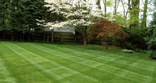 Luke’s Lawncare Logo