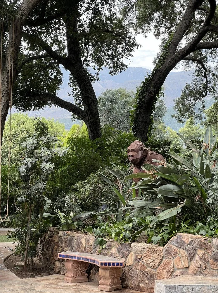 Local yard maintenance in Fallbrook, CA by Lukez Tree Service