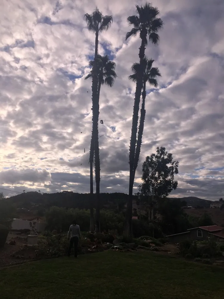 Local landscaping services in Fallbrook, CA by Lukez Tree Service