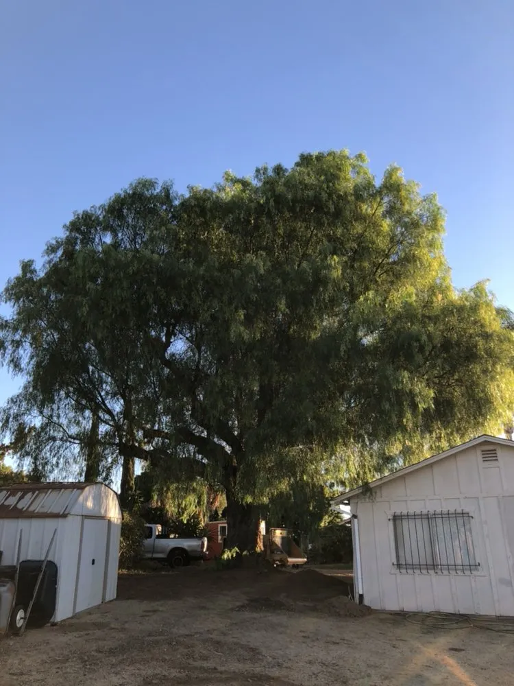 Local yard maintenance in Fallbrook, CA by Lukez Tree Service