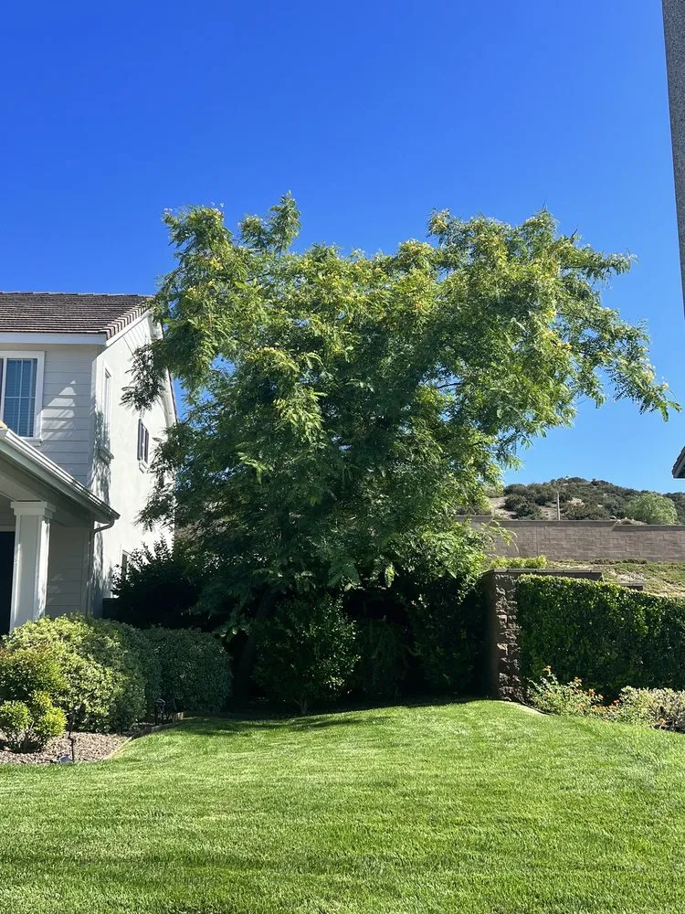 Custom yard maintenance for beautiful yards in Fallbrook, CA by Lukez Tree Service