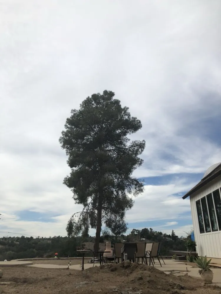 Top-rated landscaping services in Fallbrook, CA by Lukez Tree Service