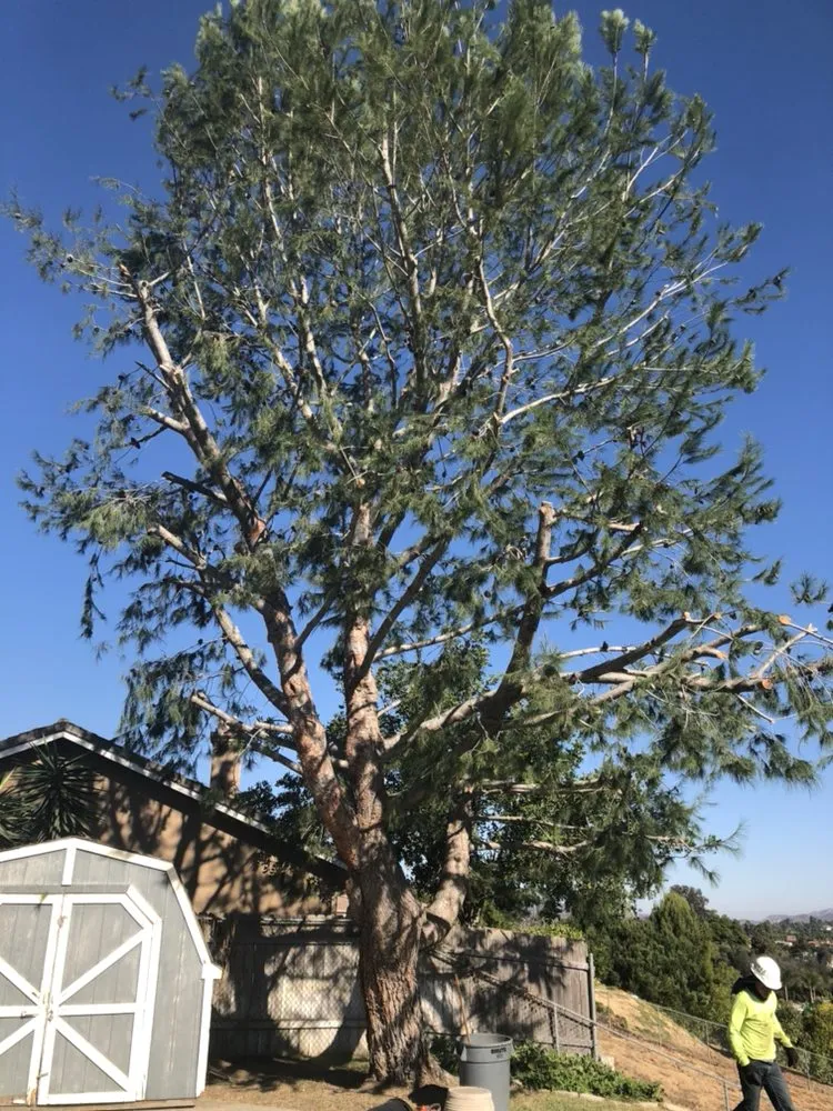 Professional lawn mowing service in Fallbrook, CA - Lukez Tree Service