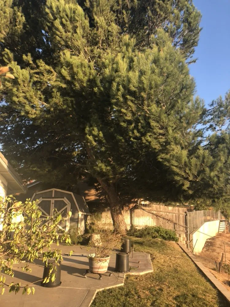 Expert landscape design in Fallbrook, CA - Lukez Tree Service