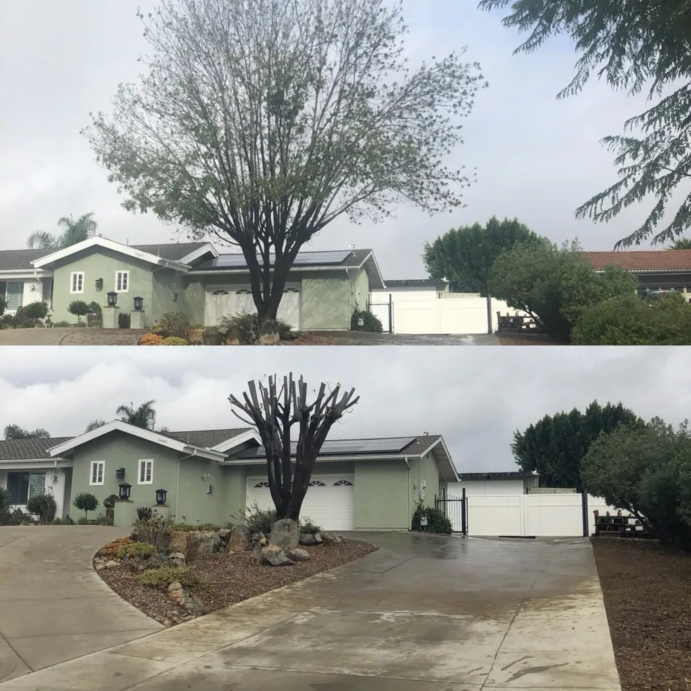Professional outdoor landscaping in Fallbrook, CA by Lukez Tree Service