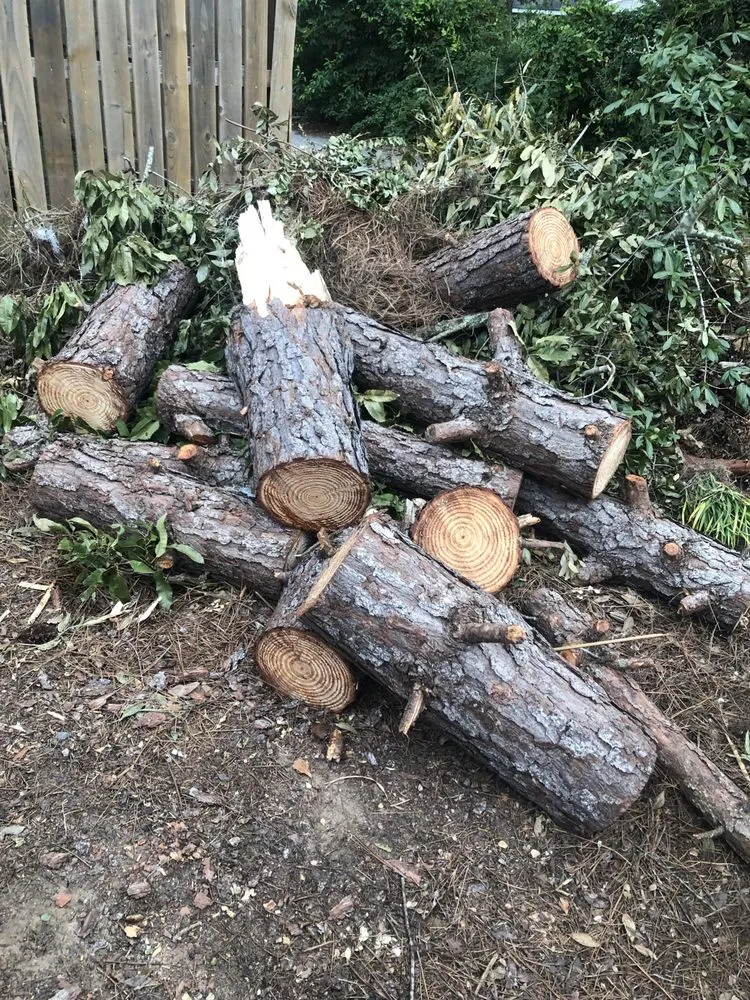 Affordable outdoor landscaping for residential properties across Albany, GA - Lula Bees ProElite Lawn Care