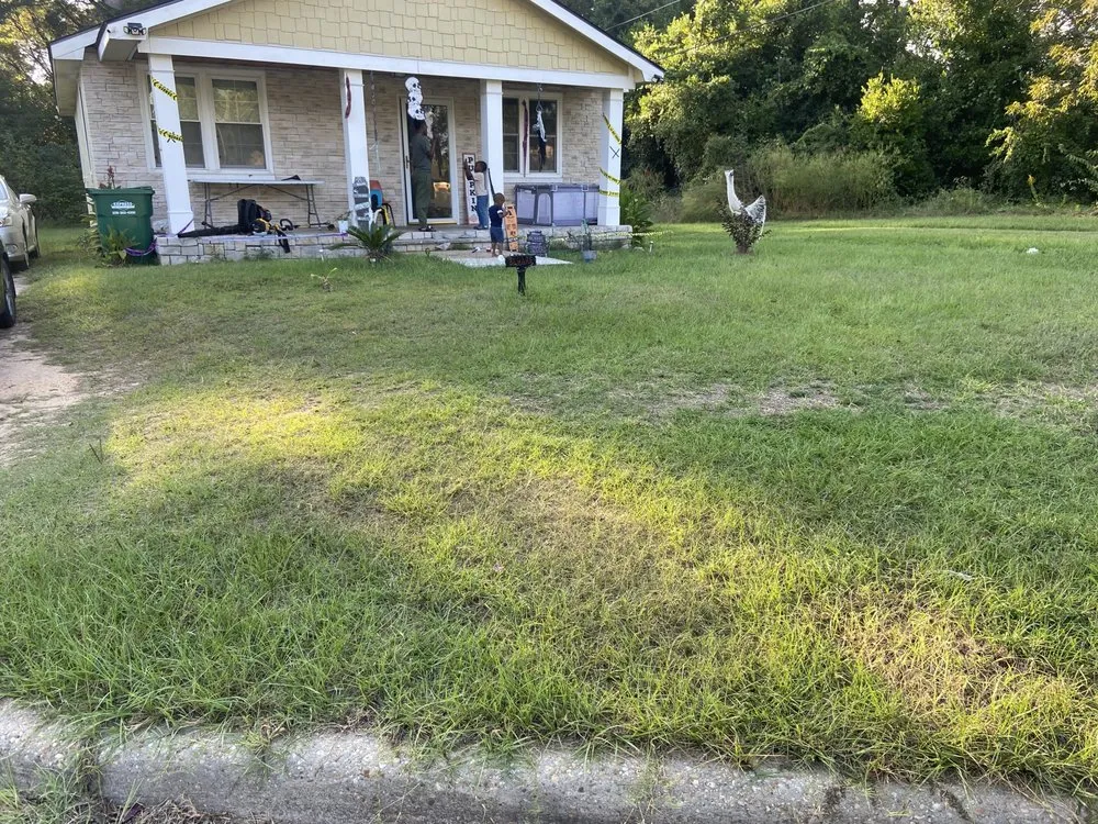 Local yard cleanup service with custom design across Albany, GA - Lula Bees ProElite Lawn Care