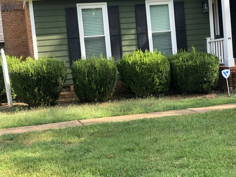 Affordable landscape installation experts serving Albany, GA - Lula Bees ProElite Lawn Care