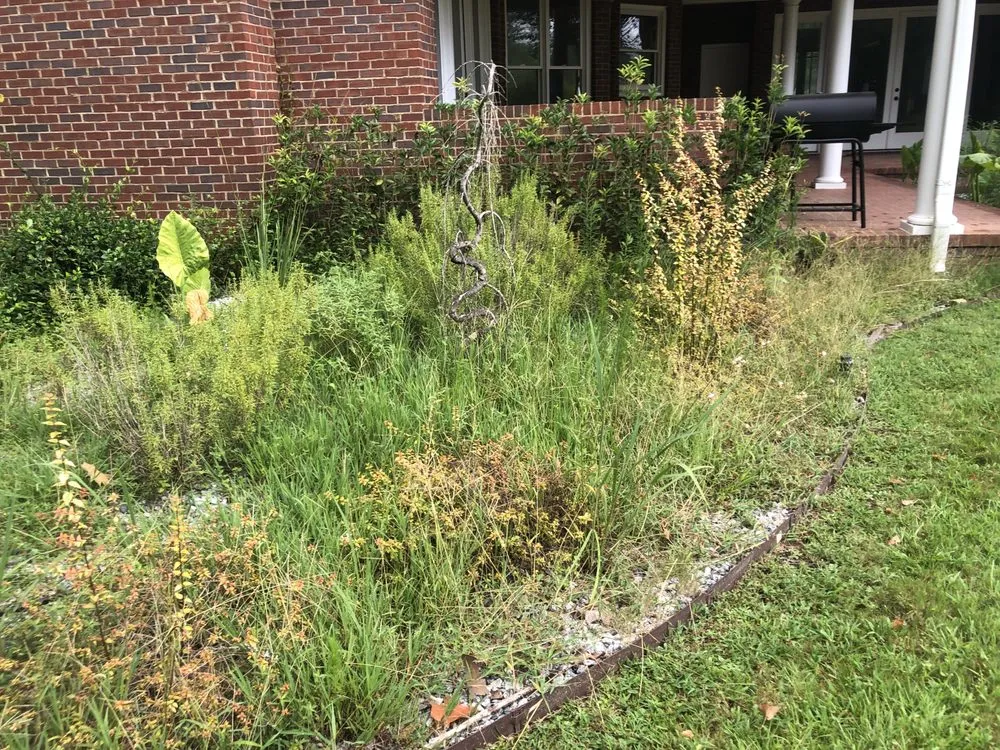 Local landscape design in Albany, GA by Lula Bees ProElite Lawn Care