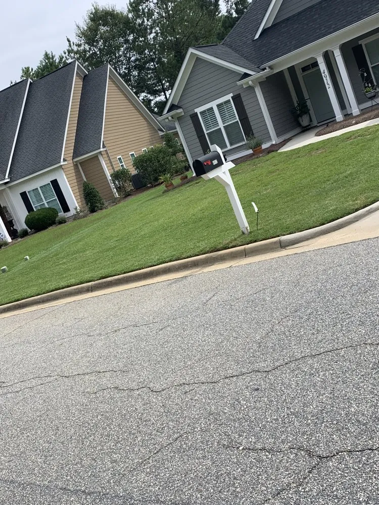 Custom landscape installation experts serving Albany, GA - Lula Bees ProElite Lawn Care