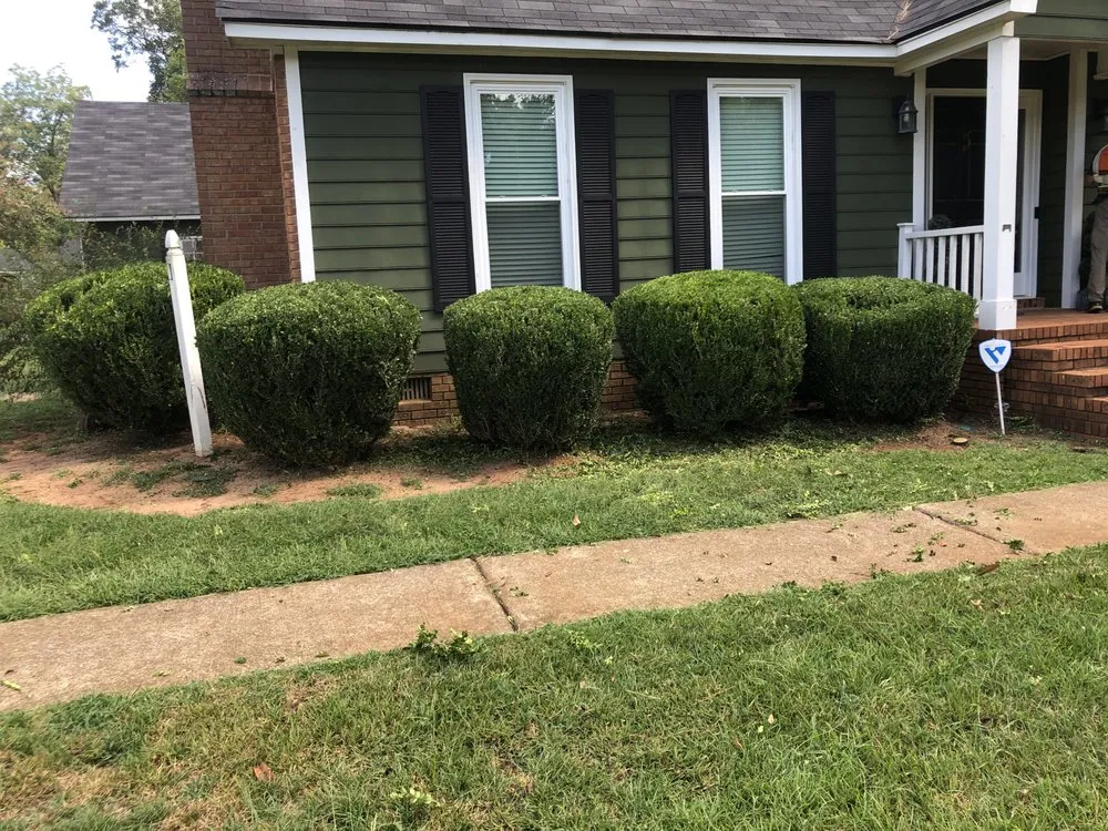 Local residential landscaping in Albany, GA - Lula Bees ProElite Lawn Care