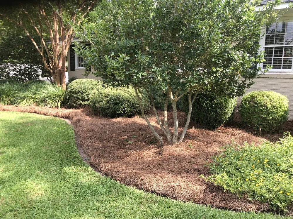 Affordable residential landscaping in Albany, GA - Lula Bees ProElite Lawn Care