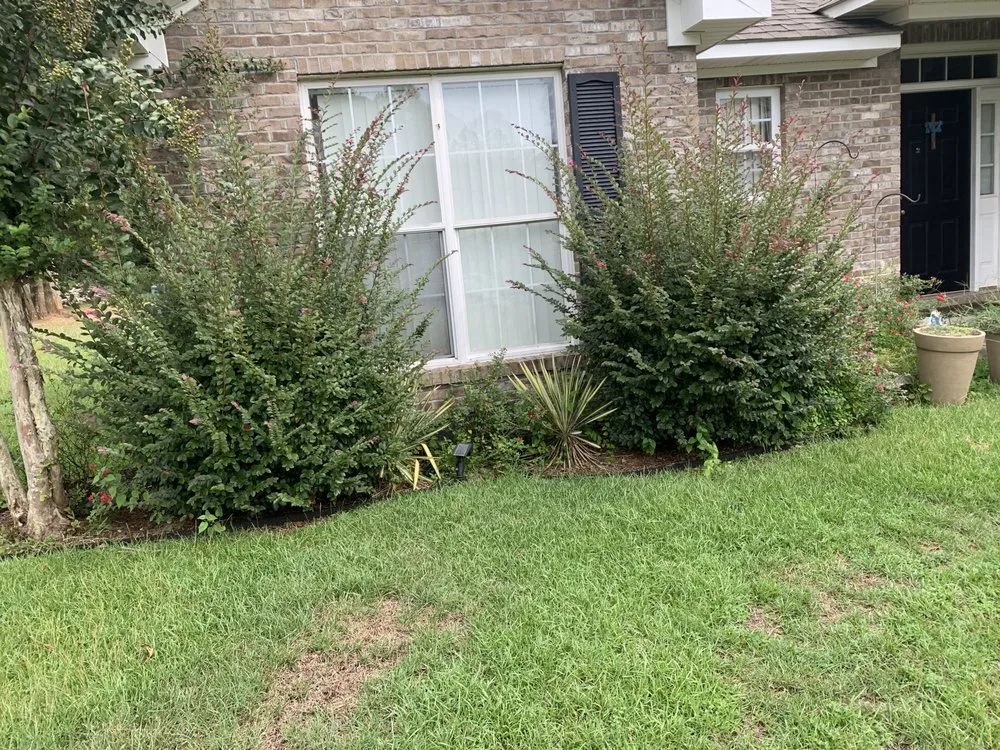 Custom lawn care service experts serving Albany, GA - Lula Bees ProElite Lawn Care