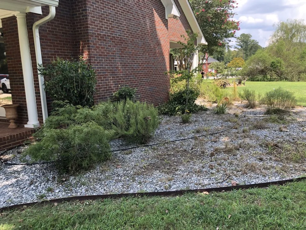 Professional outdoor landscaping in Albany, GA - Lula Bees ProElite Lawn Care