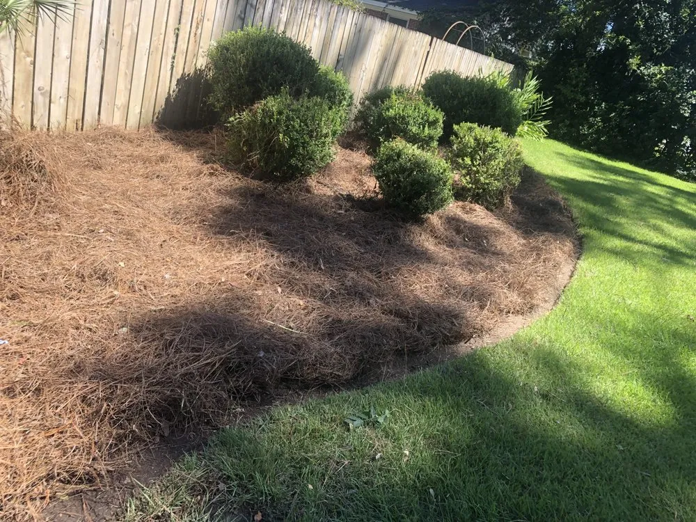 Trusted garden landscaping experts serving Albany, GA - Lula Bees ProElite Lawn Care
