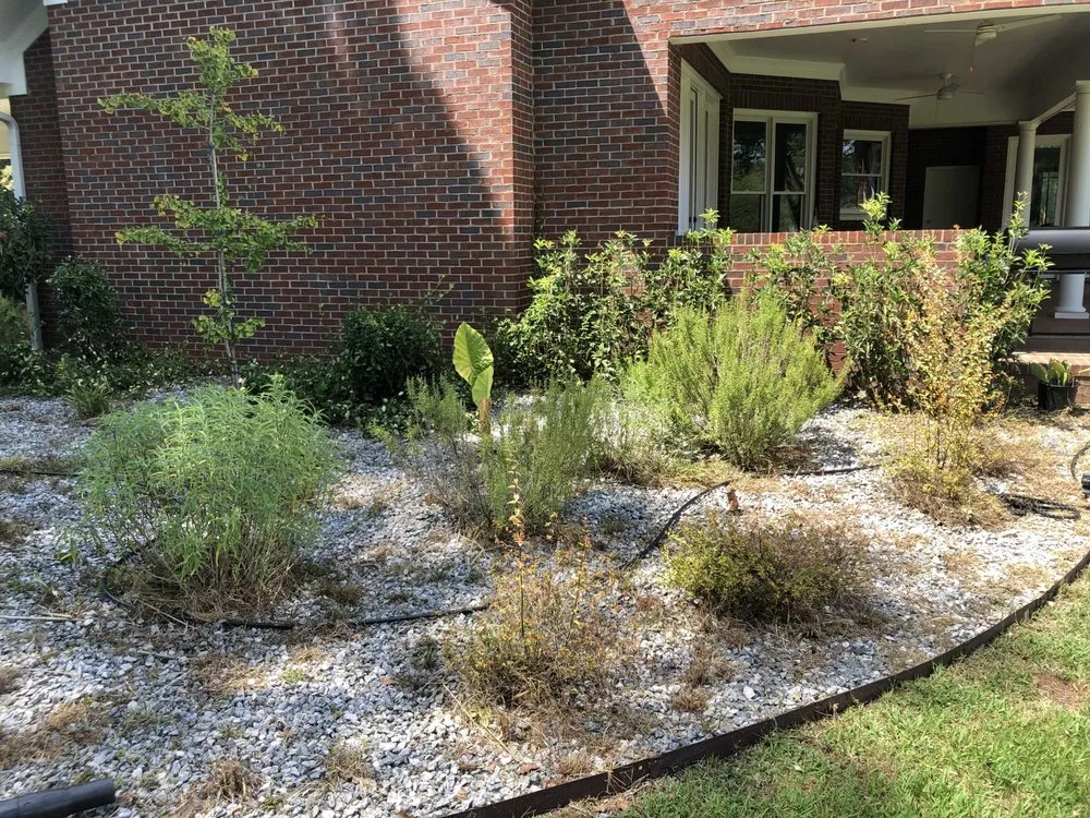 Custom landscape installation in Albany, GA - Lula Bees ProElite Lawn Care