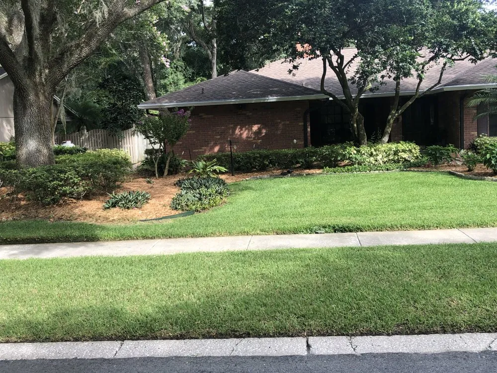 Reliable outdoor landscaping near you across Albany, GA - Lula Bees ProElite Lawn Care
