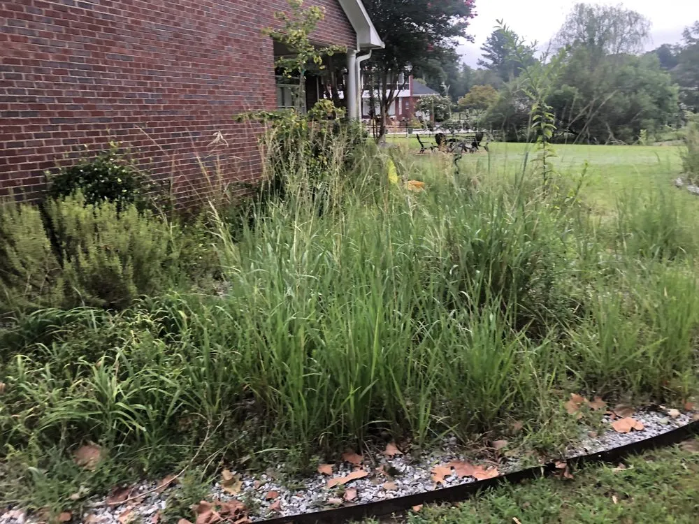 Local lawn mowing service near you across Albany, GA - Lula Bees ProElite Lawn Care