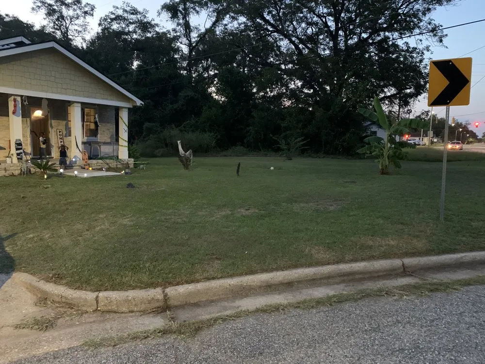 Professional landscape installation for beautiful yards across Albany, GA - Lula Bees ProElite Lawn Care