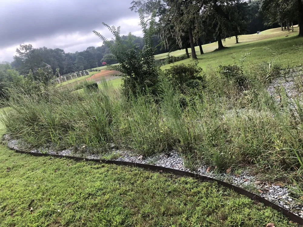 Professional yard maintenance for year-round maintenance across Albany, GA - Lula Bees ProElite Lawn Care