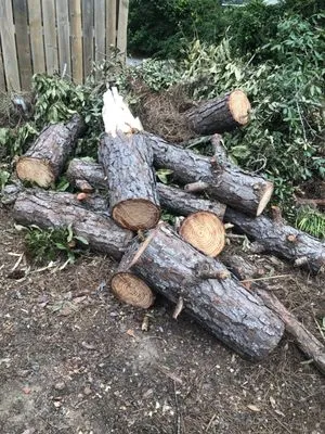 Lula Bees ProElite Lawn Care Logo