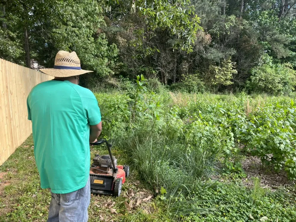 Top-rated residential landscaping in Dacula, GA by Lulu landscape of Dacula