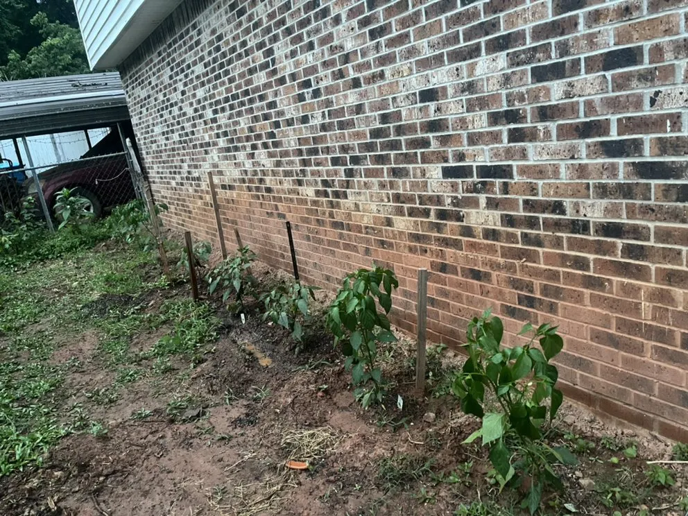 Expert lawn care service in Dacula, GA - Lulu landscape of Dacula